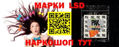 гидра Братск