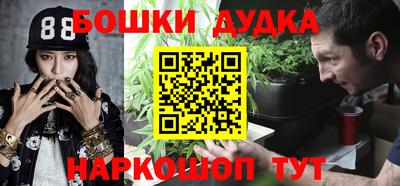 гидра Братск