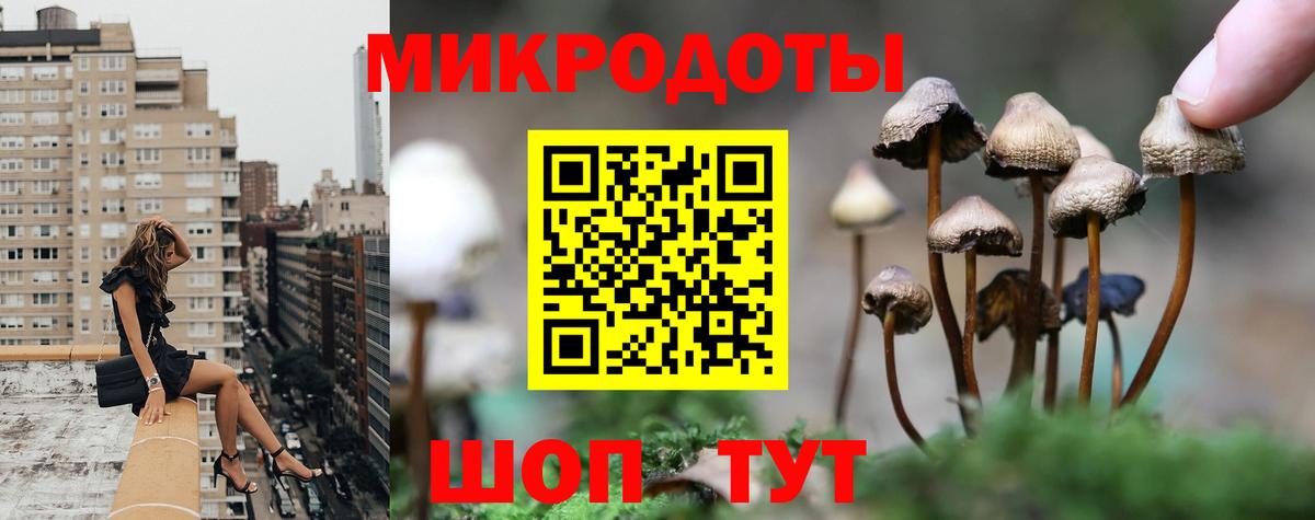 Галлюциногенные грибы мицелий  продажа наркотиков  Сергиев Посад  Вход с VPN  Галлюциногенные грибы мицелий 